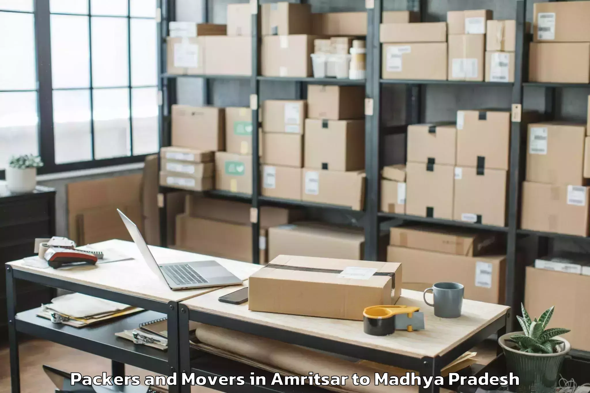 Affordable Amritsar to Gyaraspur Packers And Movers